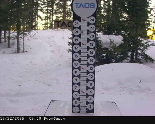 Webcam Taos: Poco Cam