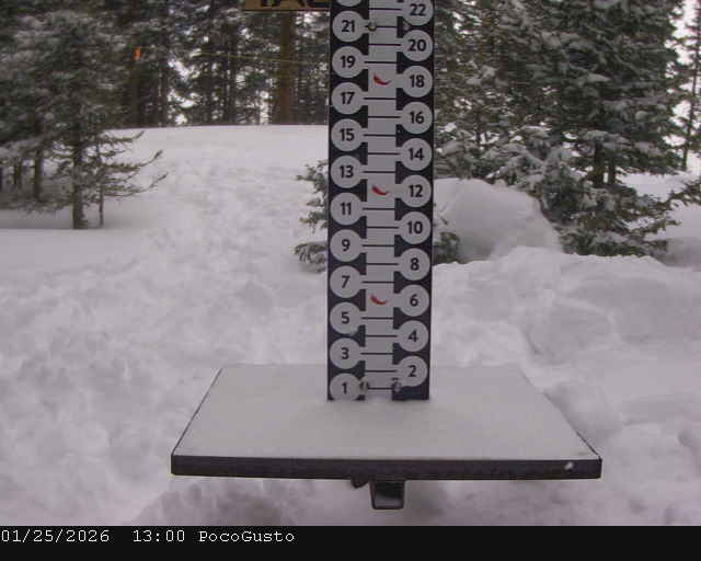 Webcam Taos: Poco Cam