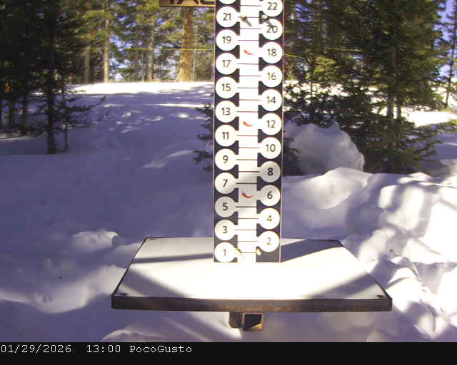 Webcam Taos: Poco Cam