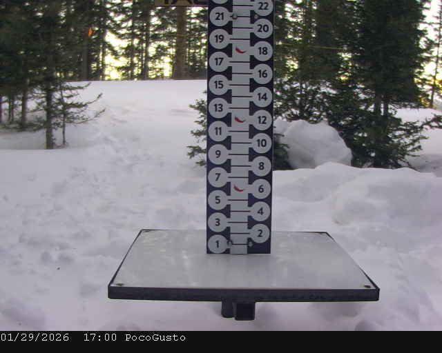 Webcam Taos: Poco Cam