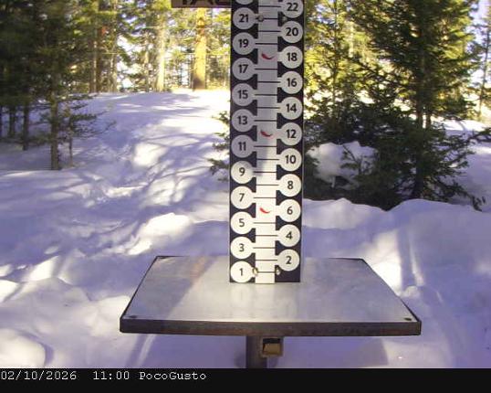 Webcam Taos: Poco Cam