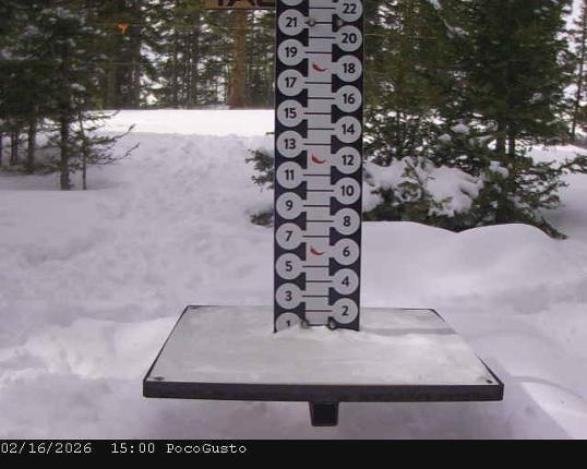 Webcam Taos: Poco Cam