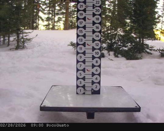 Webcam Taos: Poco Cam