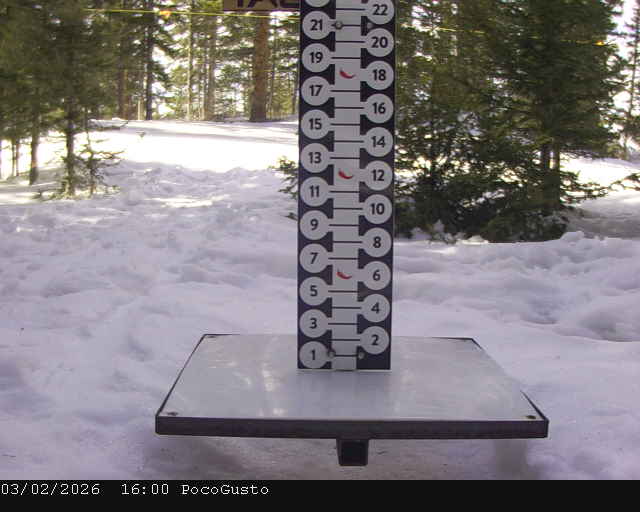 Webcam Taos: Poco Cam