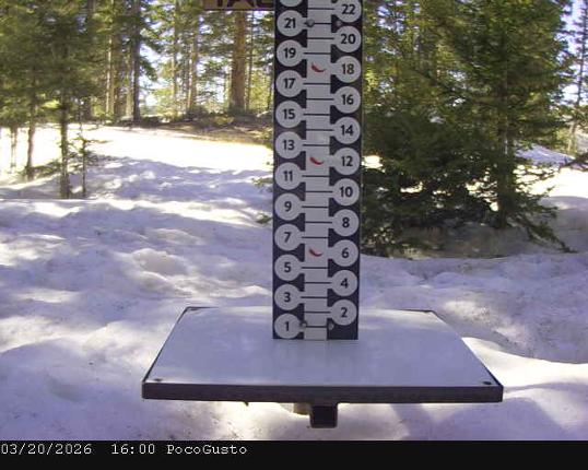 Webcam Taos: Poco Cam