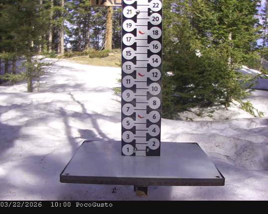 Webcam Taos: Poco Cam