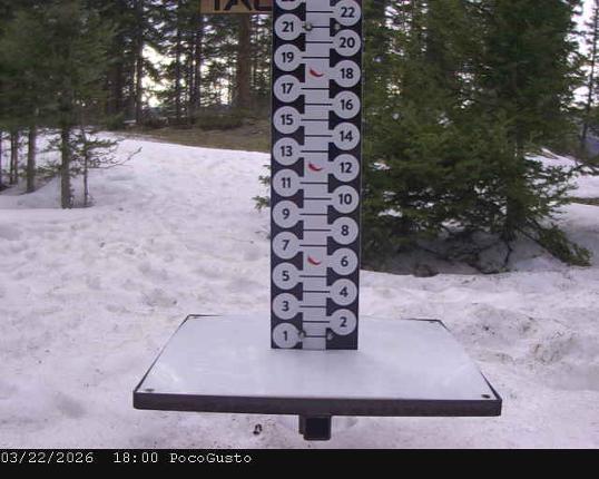 Webcam Taos: Poco Cam