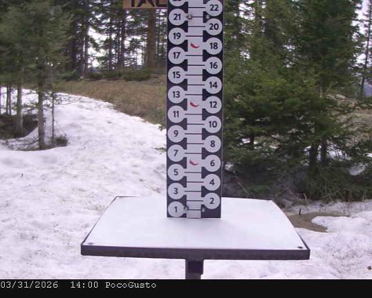 Webcam Taos: Poco Cam