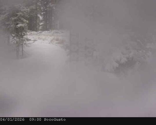 Webcam Taos: Poco Cam