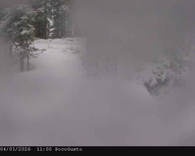 Webcam Taos: Poco Cam