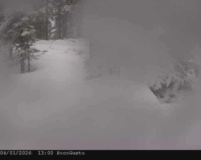 Webcam Taos: Poco Cam