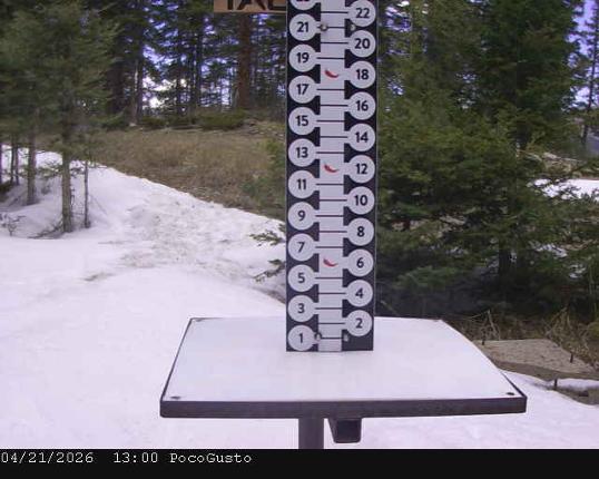 Webcam Taos: Poco Cam