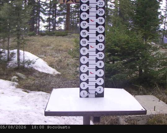 Webcam Taos: Poco Cam
