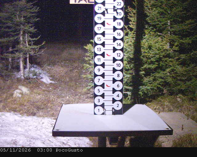 Webcam Taos: Poco Cam