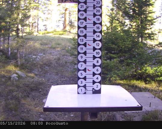 Webcam Taos: Poco Cam