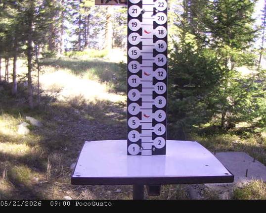 Webcam Taos: Poco Cam