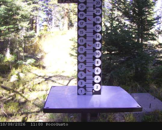 Webcam Taos: Poco Cam