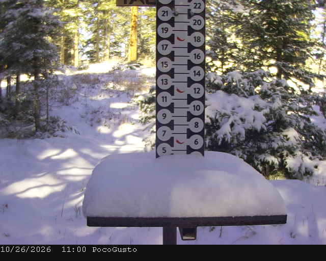 Webcam Taos: Poco Cam