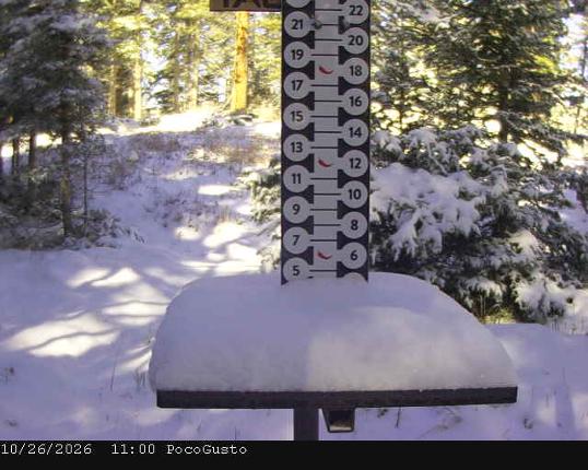 Webcam Taos: Poco Cam