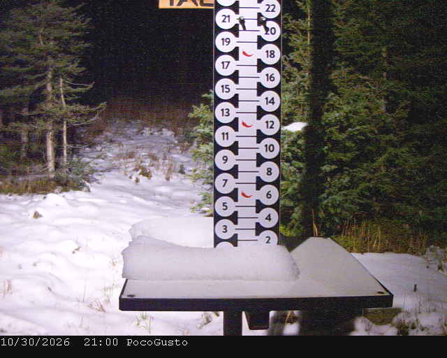 Webcam Taos: Poco Cam