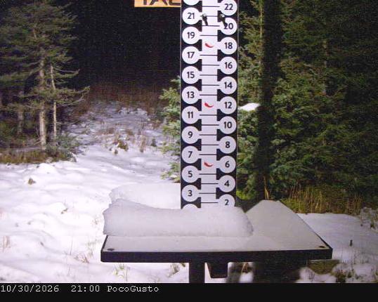 Webcam Taos: Poco Cam
