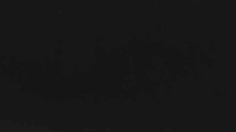 Webcam Telluride: Hoot Brown