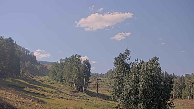 Webcam Telluride: Hoot Brown
