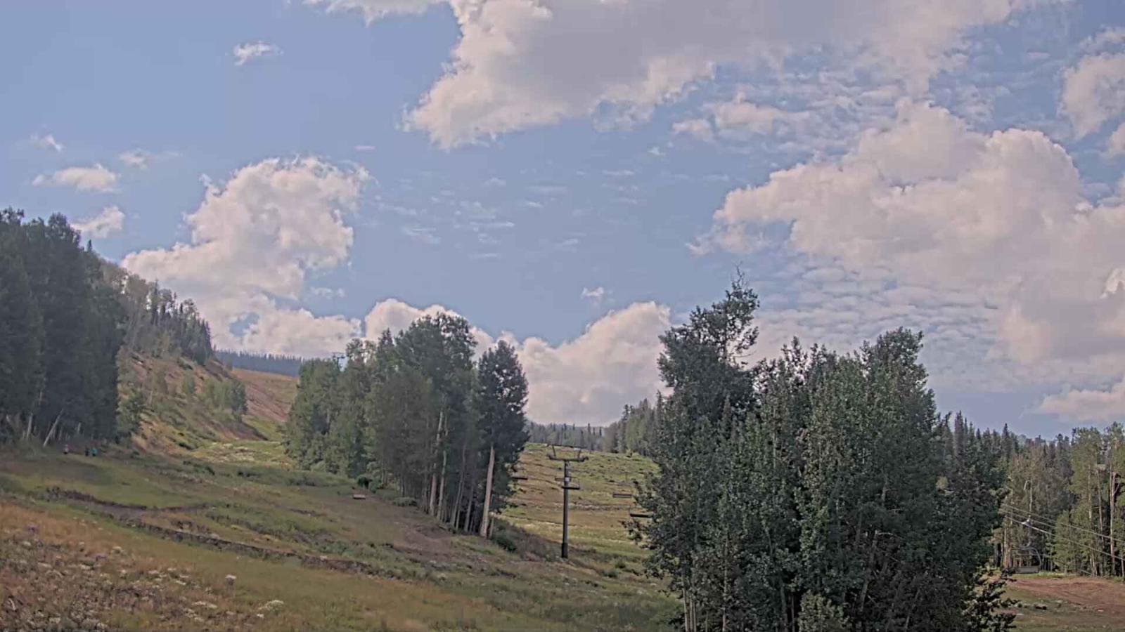 Webcam Telluride: Hoot Brown