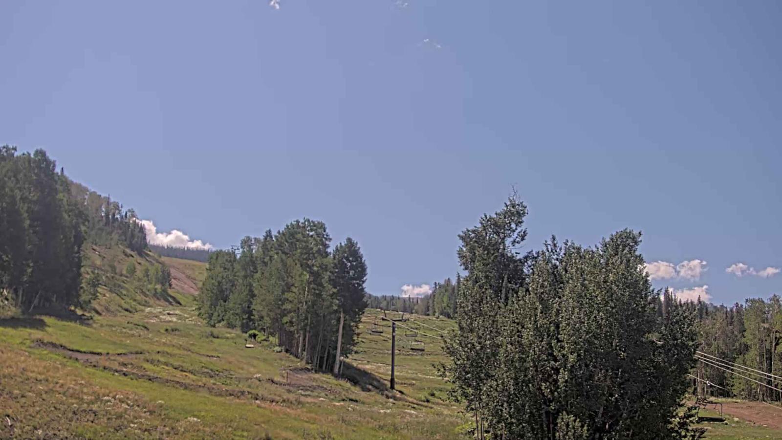 Webcam Telluride: Hoot Brown