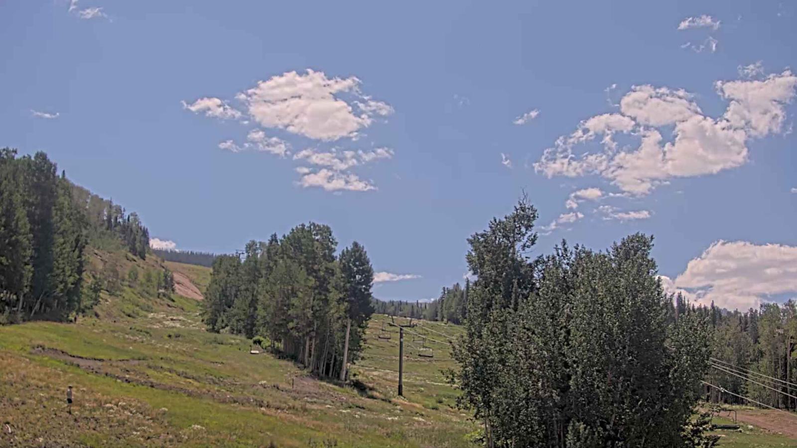 Webcam Telluride: Hoot Brown