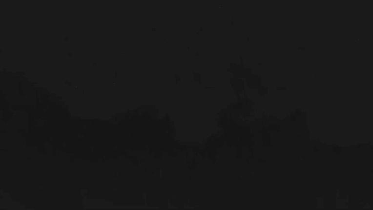Webcam Telluride: Hoot Brown