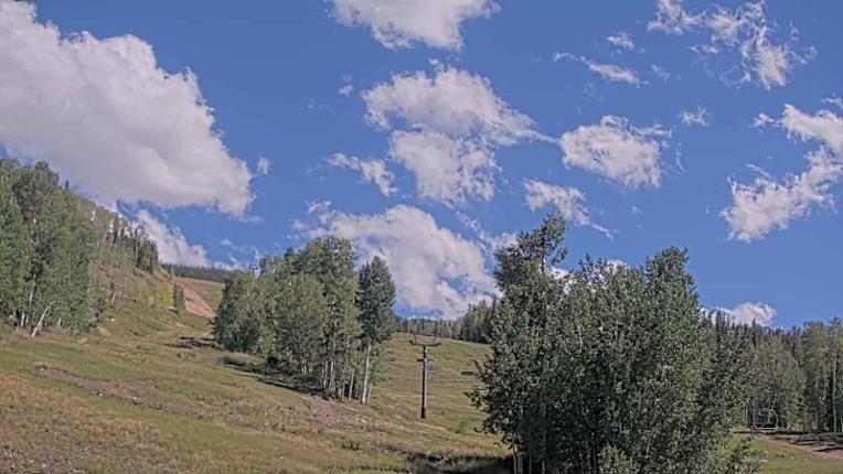 Webcam Telluride: Hoot Brown