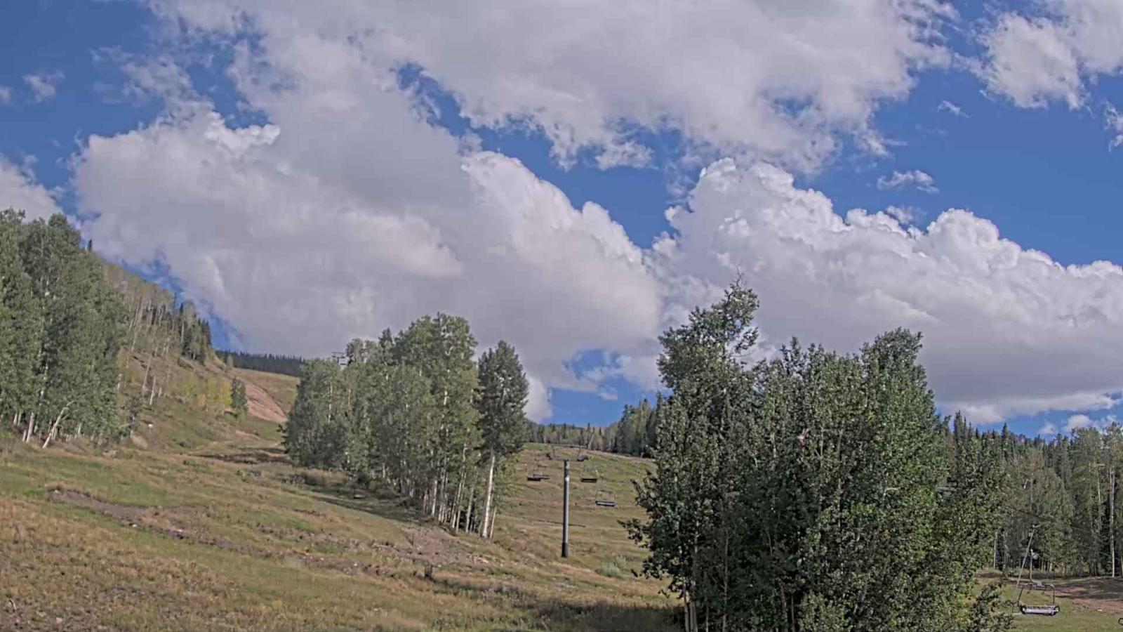 Webcam Telluride: Hoot Brown