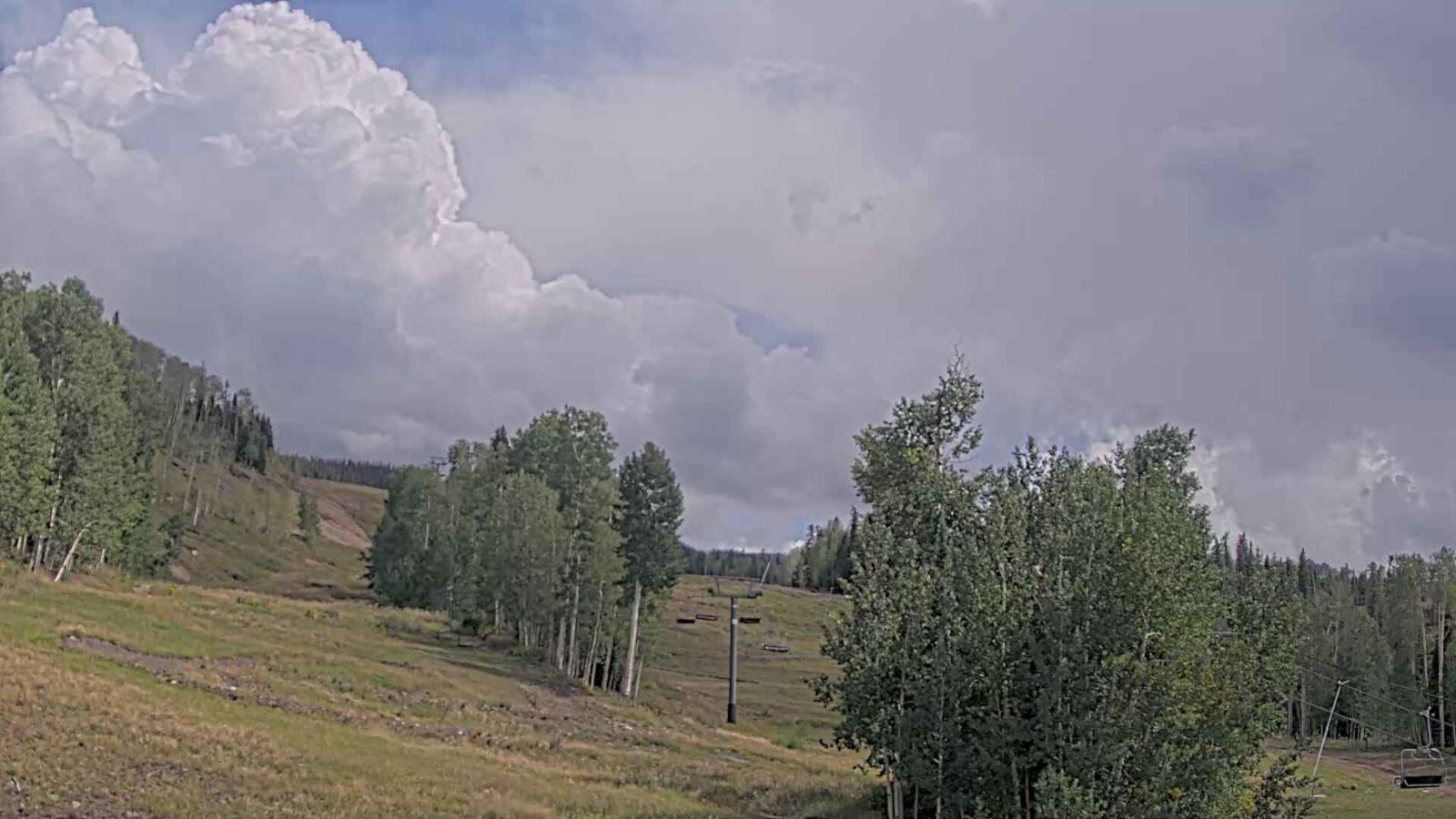 Webcam Telluride: Hoot Brown