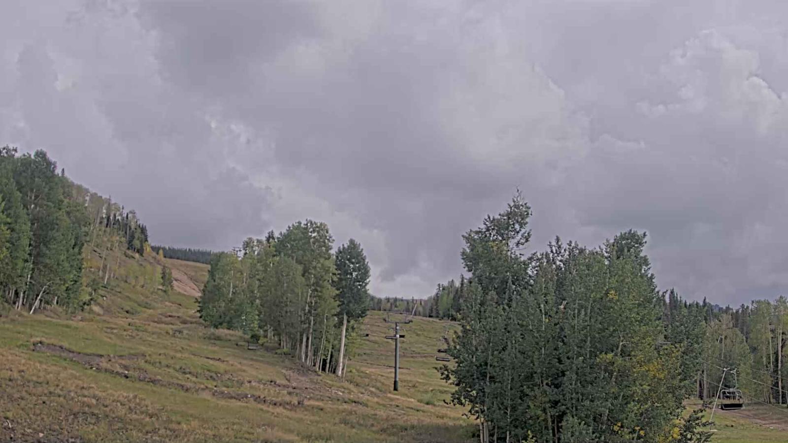 Webcam Telluride: Hoot Brown