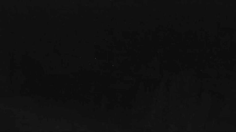 Webcam Telluride: Hoot Brown