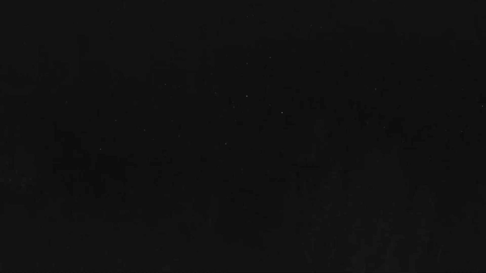 Webcam Telluride: Hoot Brown