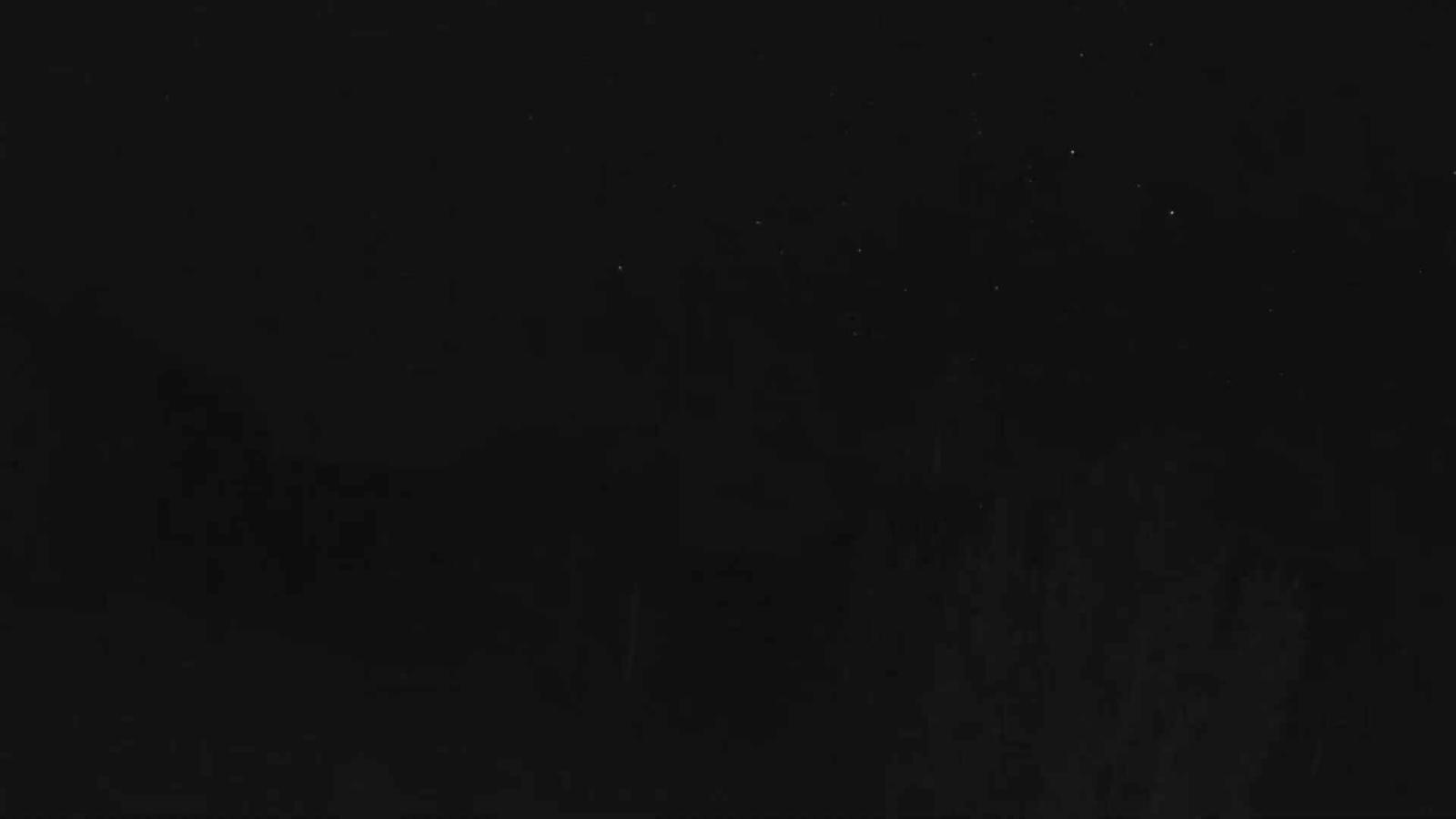 Webcam Telluride: Hoot Brown