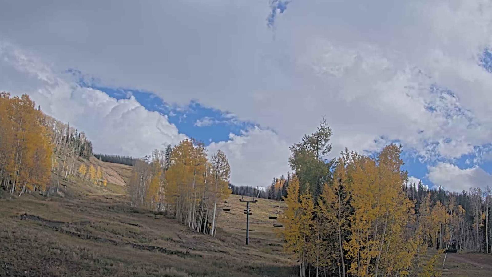 Webcam Telluride: Hoot Brown