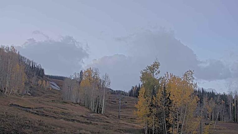Webcam Telluride: Hoot Brown