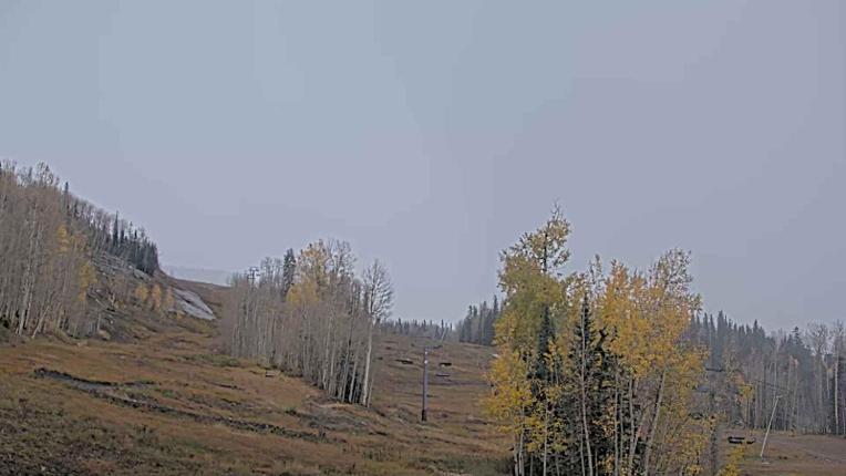 Webcam Telluride: Hoot Brown