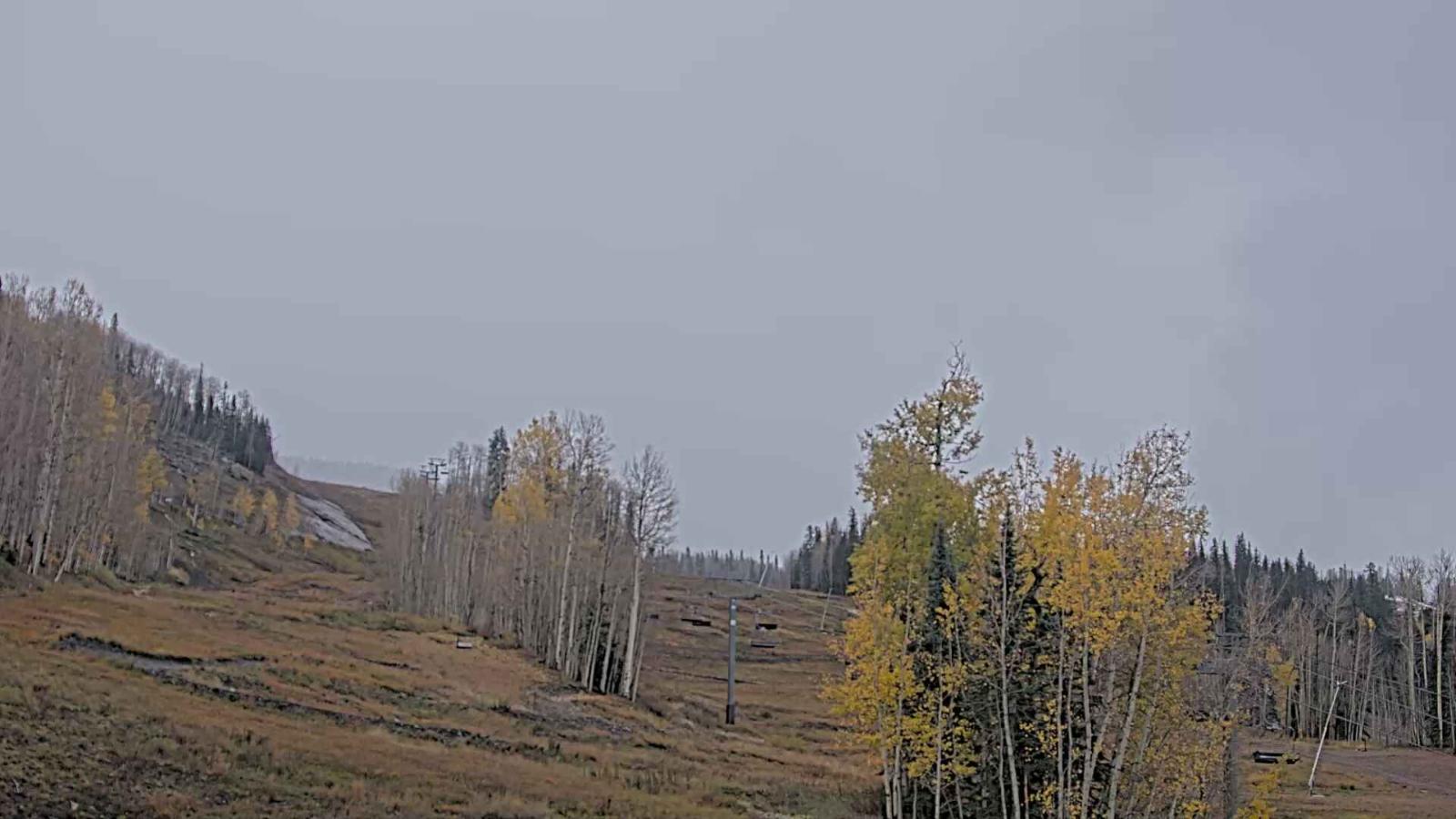 Webcam Telluride: Hoot Brown