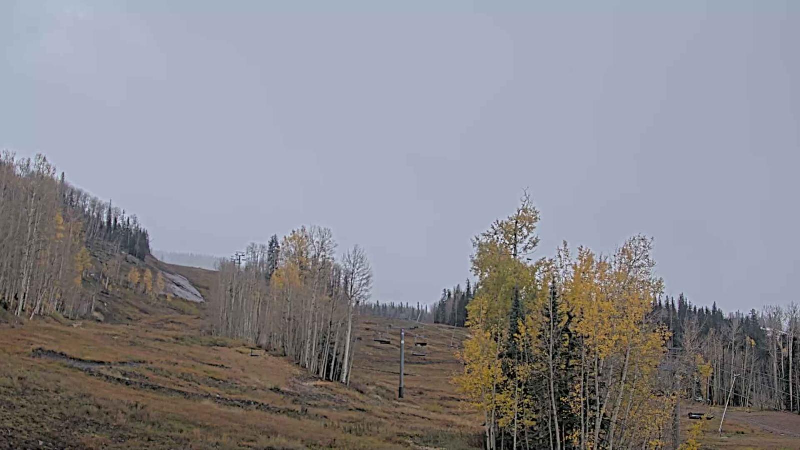 Webcam Telluride: Hoot Brown