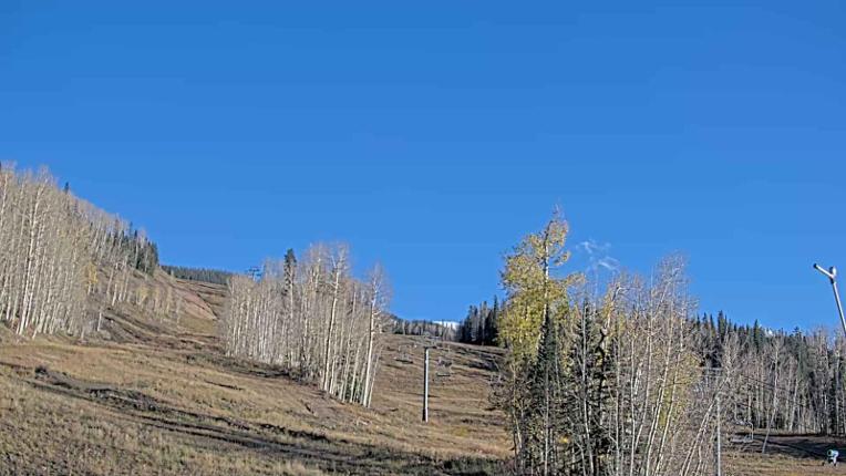 Webcam Telluride: Hoot Brown
