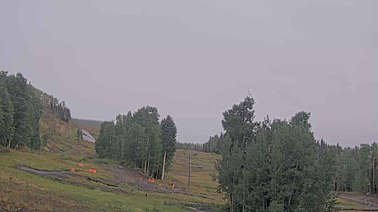 Webcam Telluride: Hoot Brown