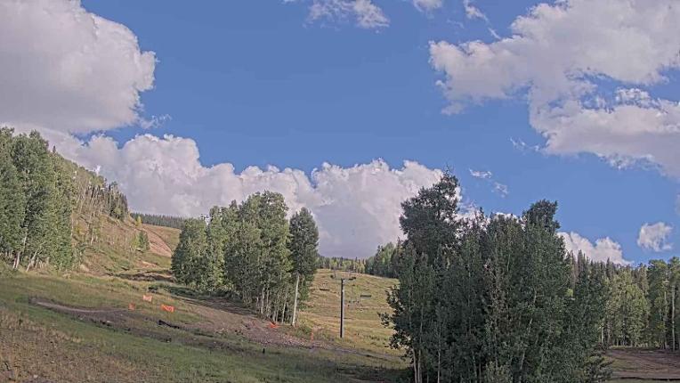 Webcam Telluride: Hoot Brown