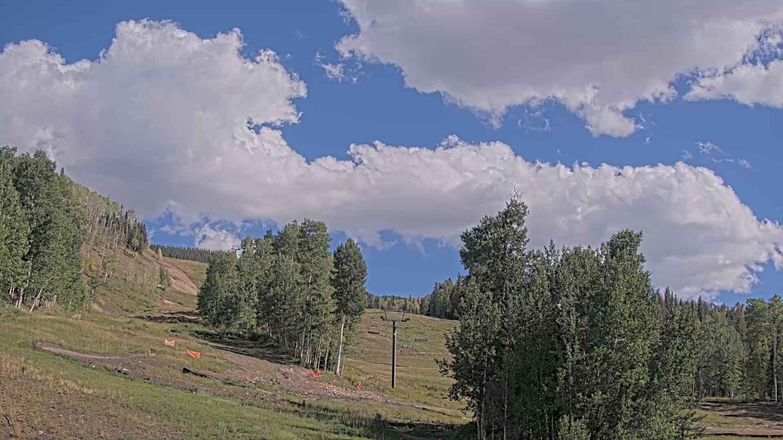 Webcam Telluride: Hoot Brown