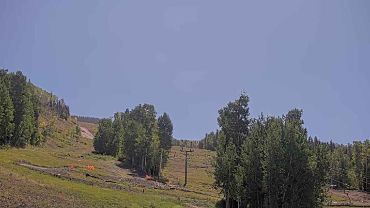 Webcam Telluride: Hoot Brown