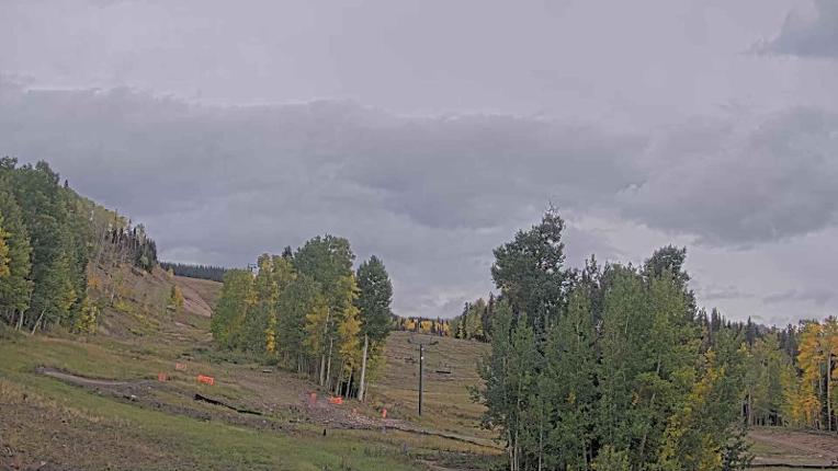 Webcam Telluride: Hoot Brown