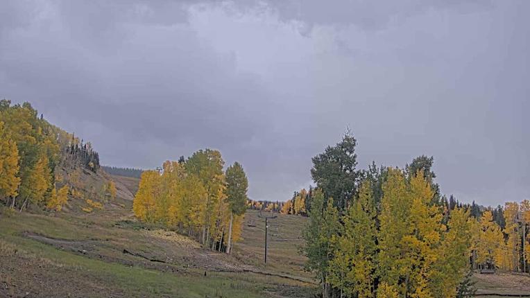 Webcam Telluride: Hoot Brown